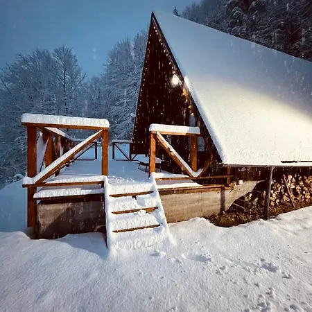 Wild Holiday home