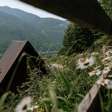 Holiday home Wild Malaia