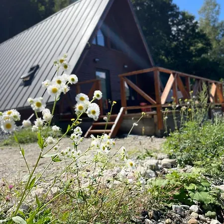 Wild Holiday home