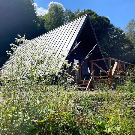 Wild Holiday home